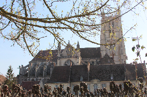 Cathédrale de Meaux