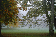 Parc de Rambouillet